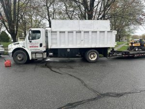 Tree Service Job in East Brunswick