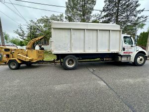 Tree Service Job in East Brunswick