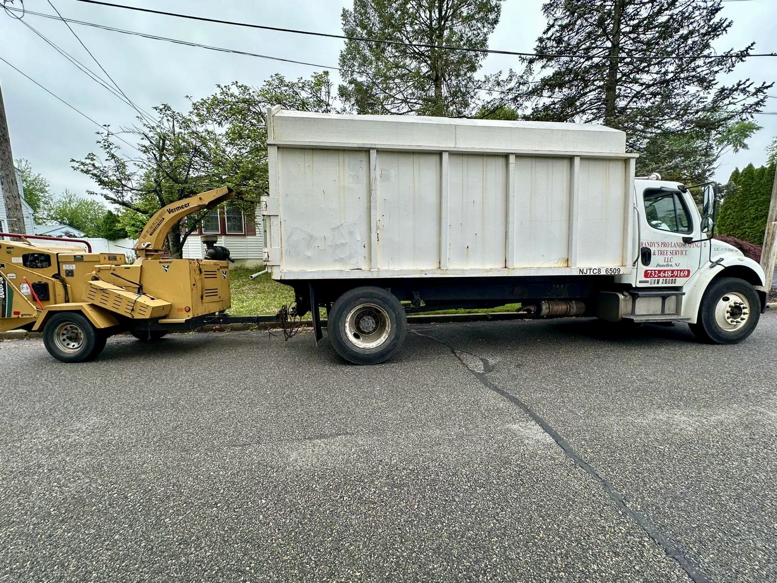 Tree Service Job in East Brunswick