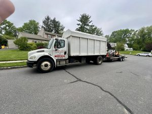 Tree Service Job in East Brunswick