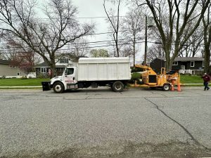 Tree Service Job in East Brunswick