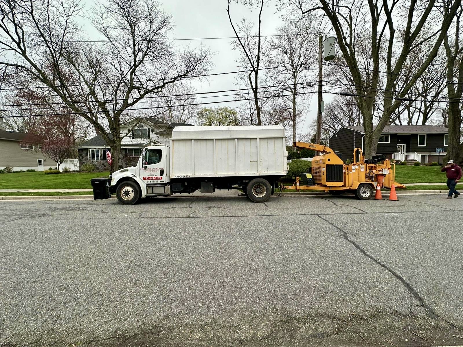 Tree Service Job in East Brunswick