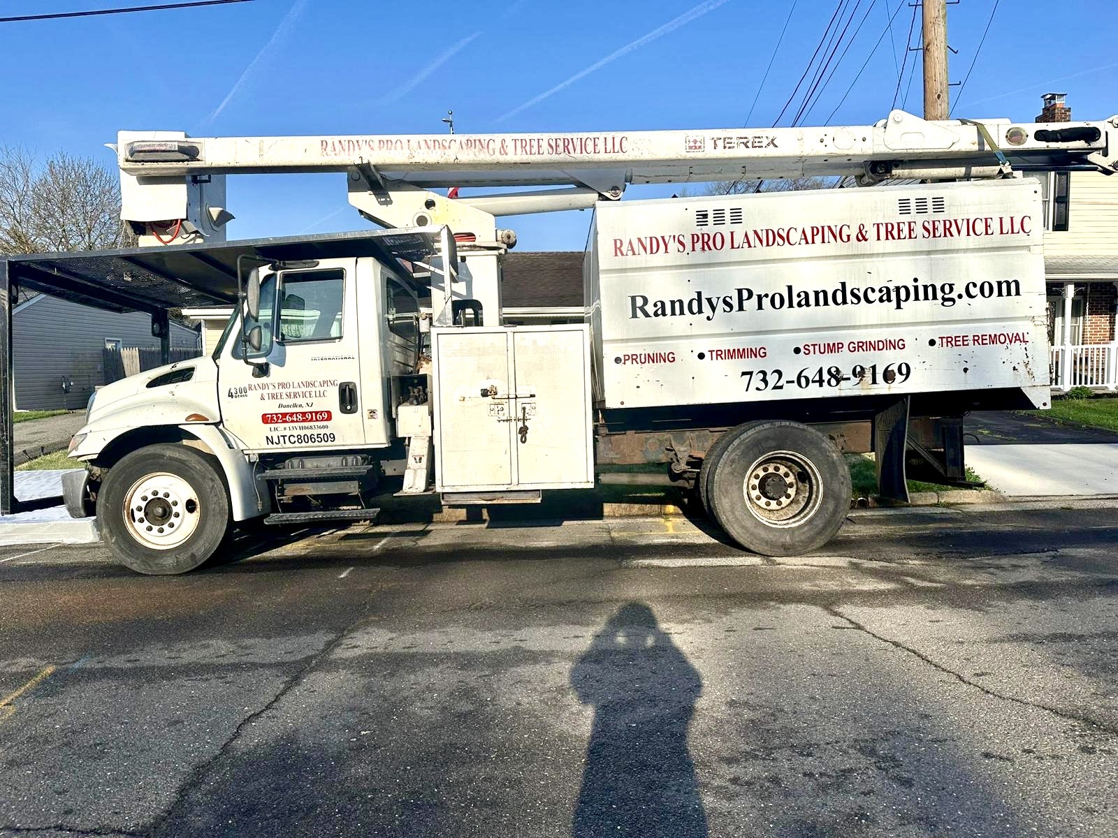 Tree Service Job in Edison