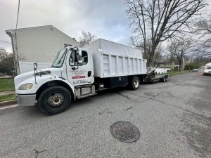 Tree Service Job in Edison