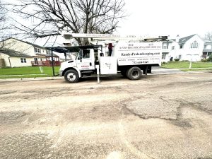 Tree Service Job in Edison
