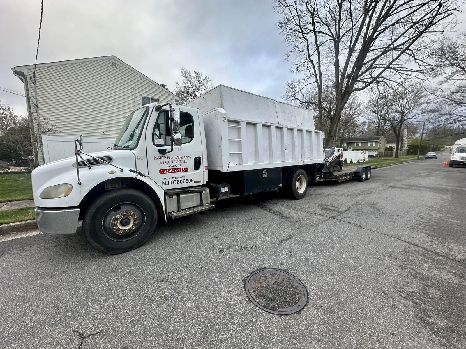 Tree Service Job in Edison