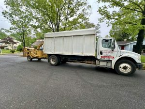Tree Service Job in Piscataway