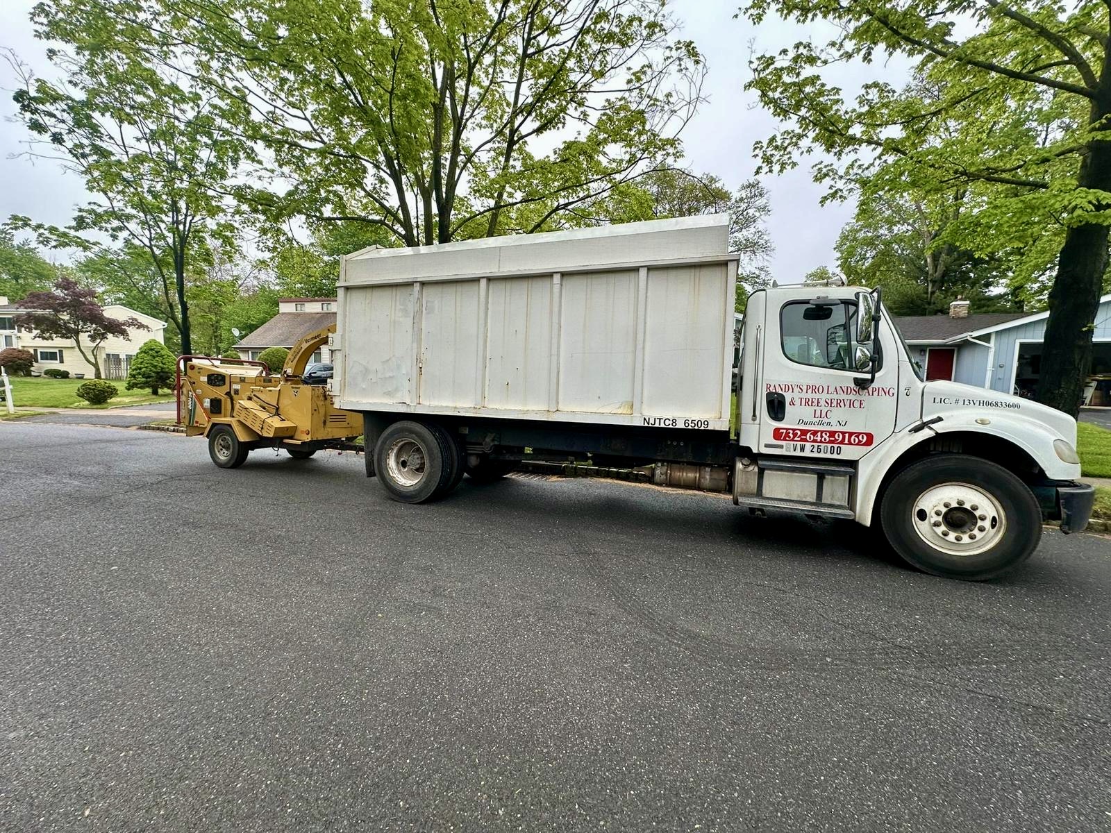 Tree Service Job in Piscataway