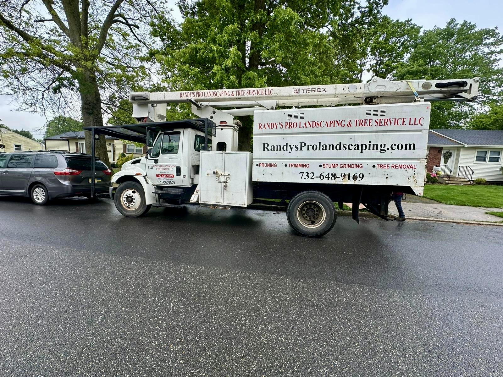 Tree Service Job in Spotswood