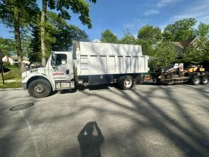 Tree Service Job in Westfield