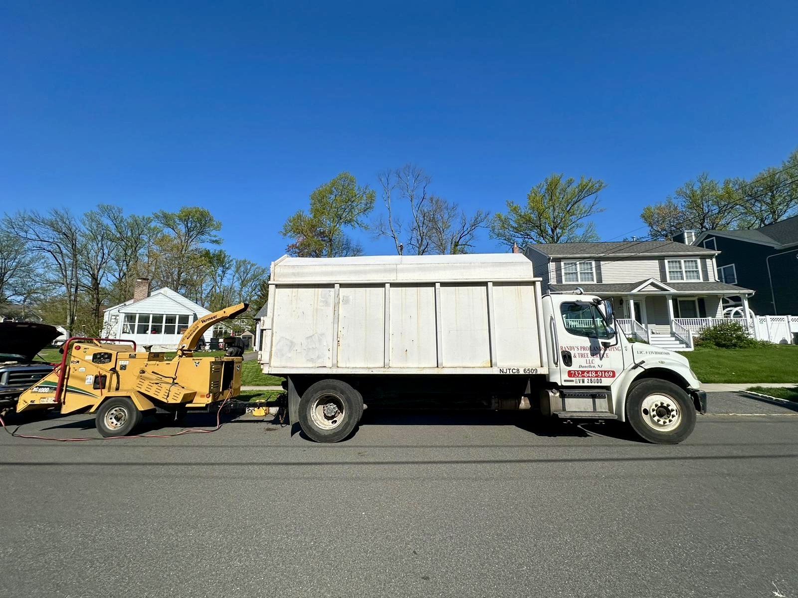 Tree Service Job in Westfield