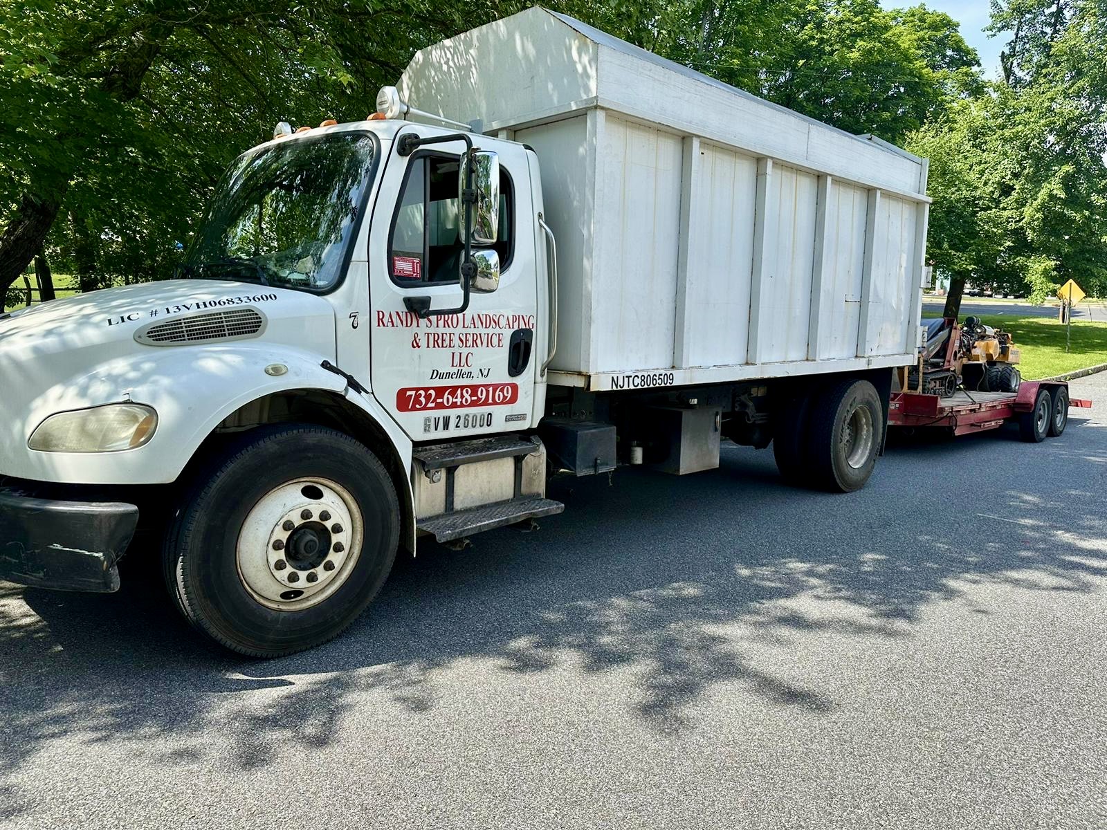 Tree Service Job in Clinton