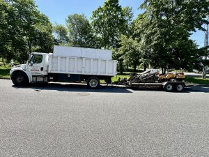 Tree Service Job in Clinton