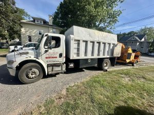 Tree Service Job in Dunellen