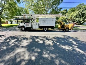 Tree Service Job in Edison