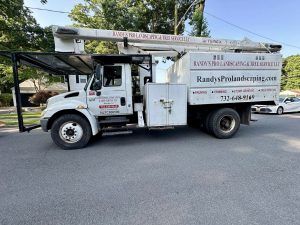 Tree Service Job in Edison