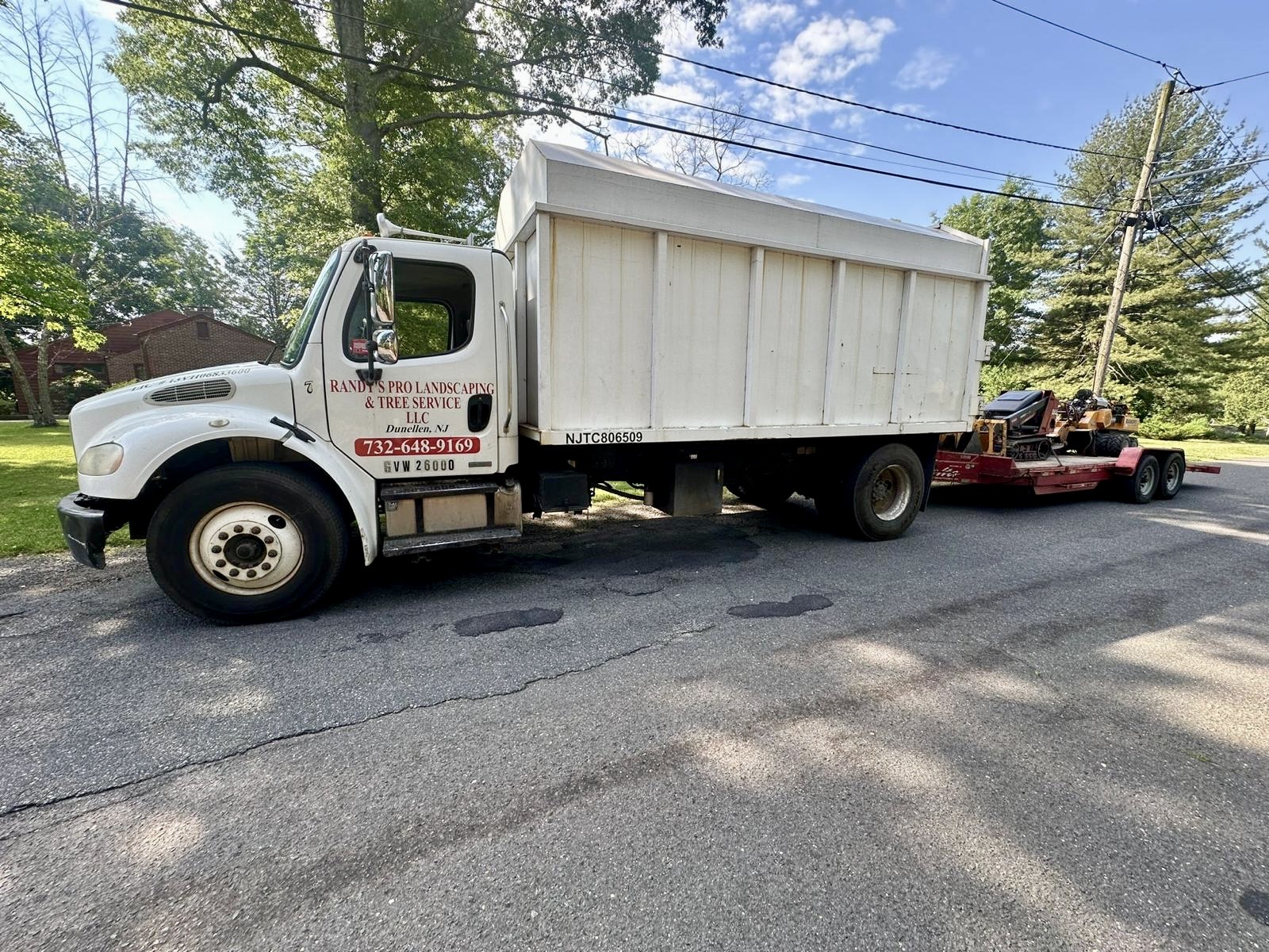 Tree Service Job in Martinsville