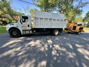 Tree Service Job in New Providence