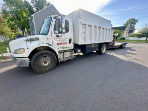 Tree Service Job in Piscataway