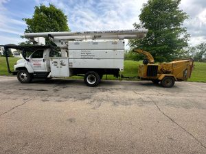 Tree Service Job in Readington