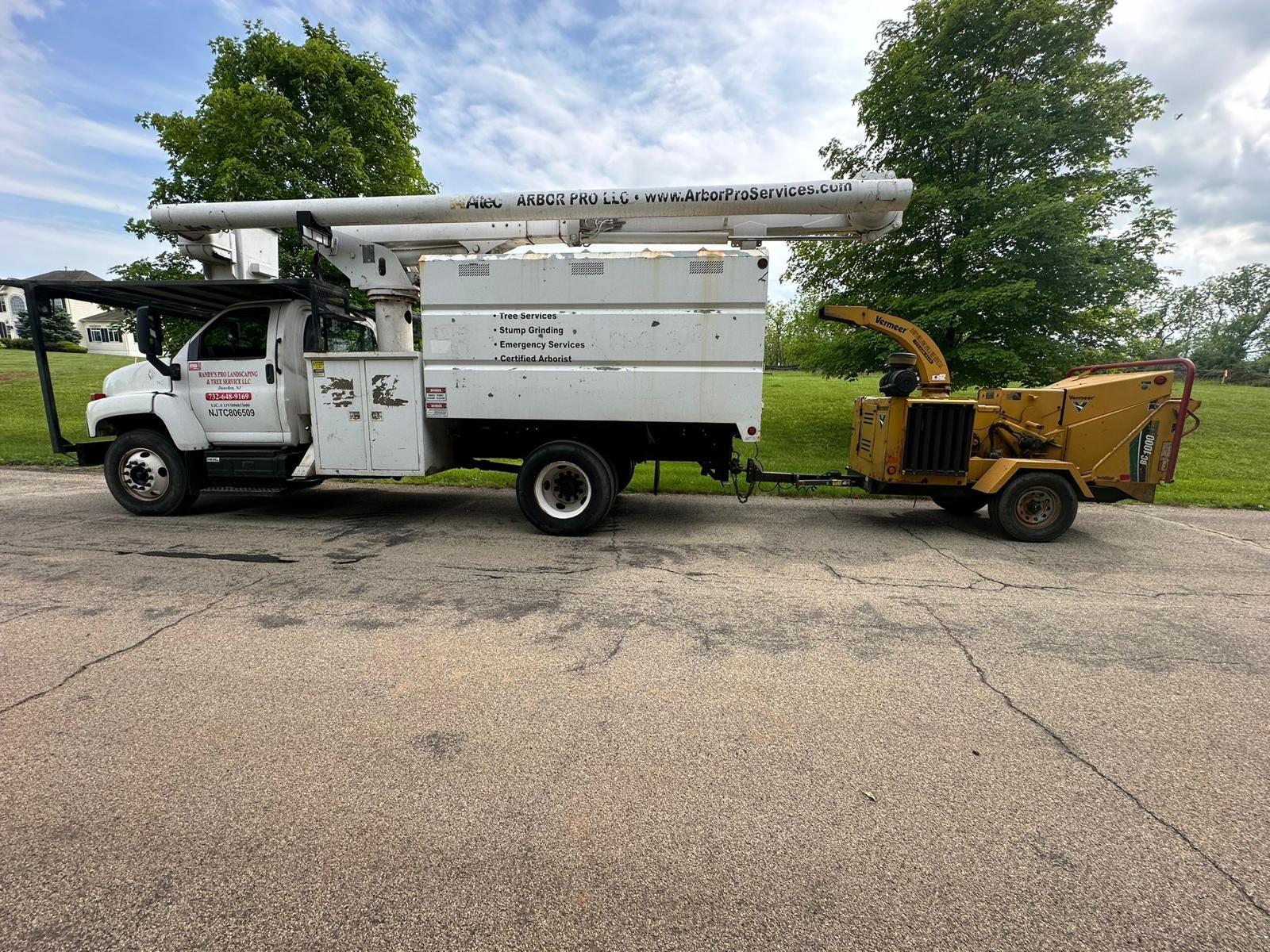 Tree Service Job in Readington