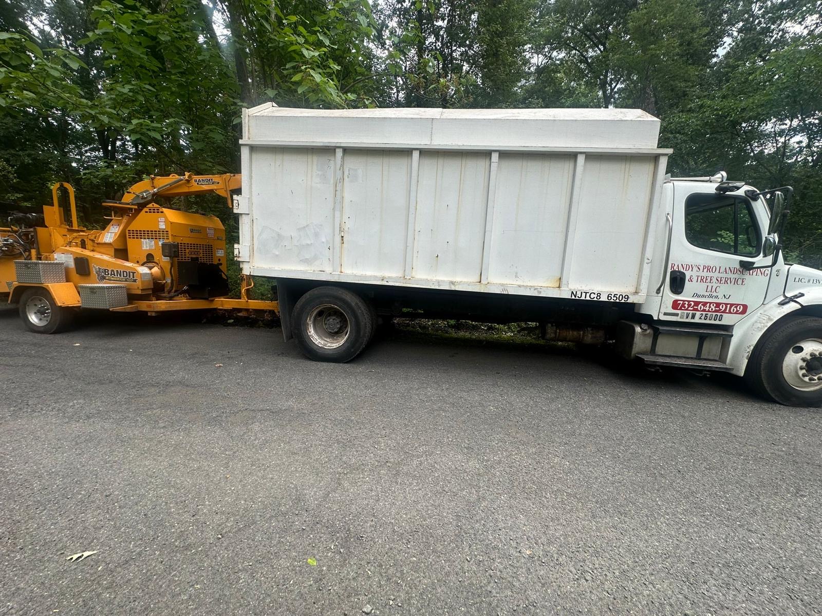 Tree Service Job in Warren
