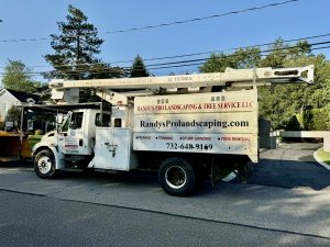 Tree Service Job in Chatham