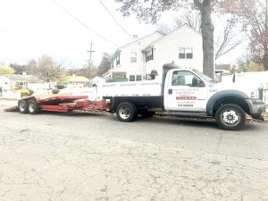 Tree Service Job in Edison